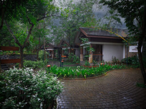 morickap-resort-wayanad