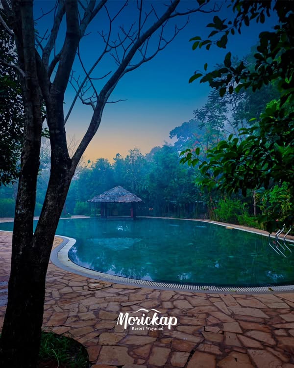 pool Villas in Wayanad