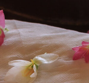 Exclusive NRI SPA ESCAPE